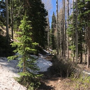 Meet your Posher, Holger